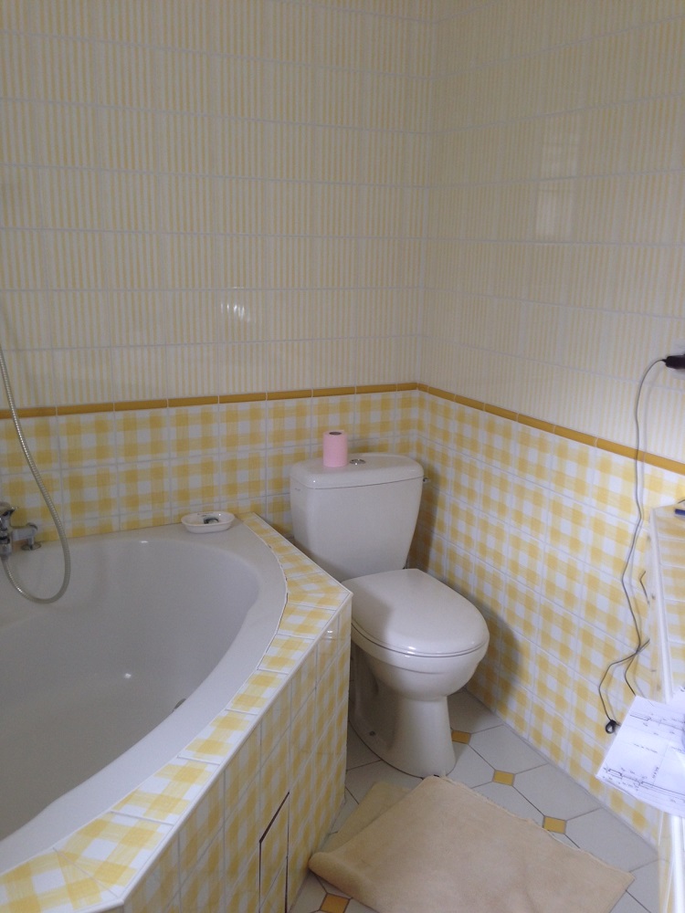 AVANT : baignoire, WC et douche