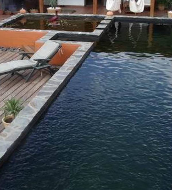 58380936_2158000767648795_6373045578166697984_n